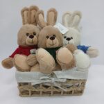 PLISANI ZEKA U DZEMPERU VECI